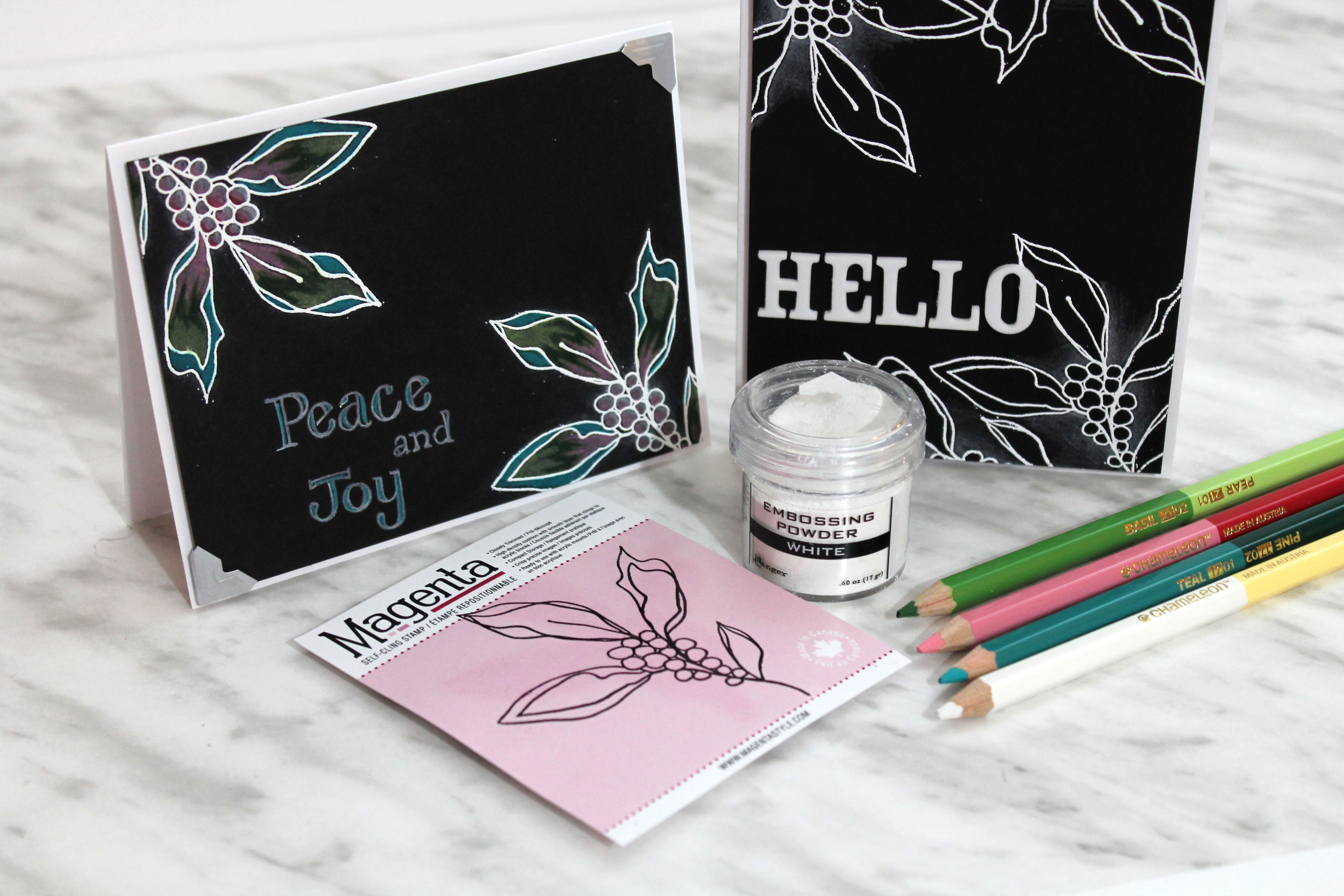 Coloring on black cardstock | Featuring Chameleon Coloring Pencils | Designed by Tracy McLennon | Creative Scrapbooker Magazine  #cardmaking #coloring #Stamping