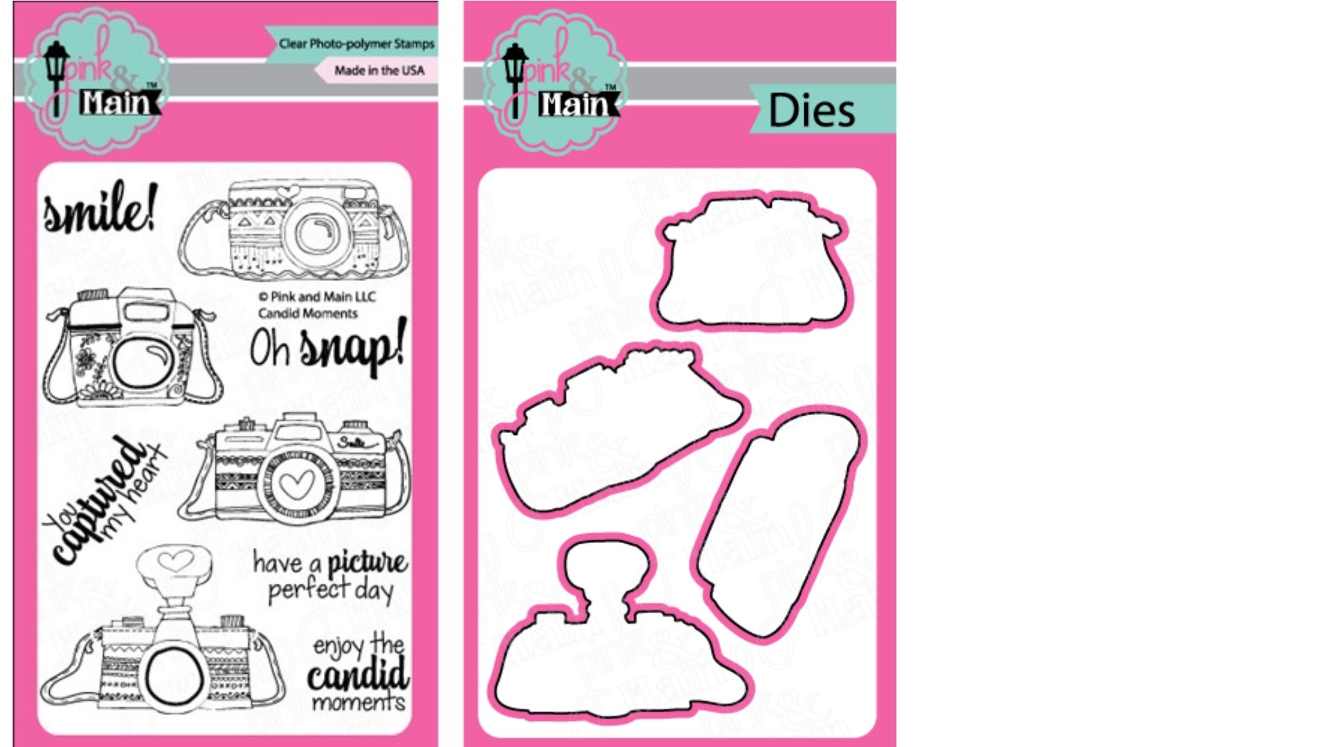 Candid Moments Stamp Set by and Coordinating Dies by Pink & Main