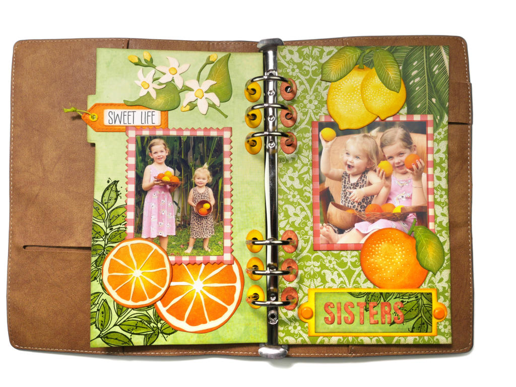 Completed summer journal notebook spread with citrus embellishments, floral accents, and photos of two sisters.
